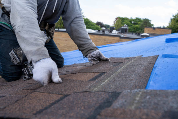 Best Metal Roofing Contractor  in Greenwood, IN